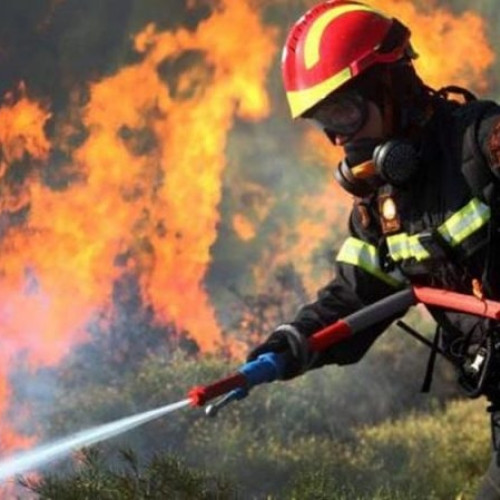 O mașină de pompieri a ars în timp ce stingea un incendiu de vegetație