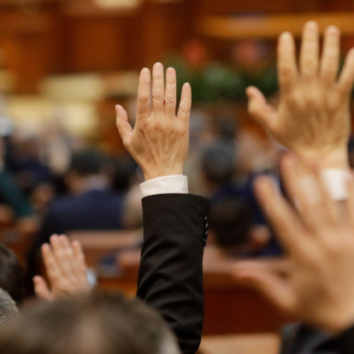 Camera Deputaților, întrunită în sesiune extraordinară pentru modificarea legislației privind intervențiile imediate în atacurile urșilor