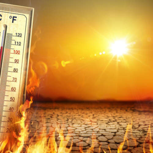 21 de decese în Beni Mellal din cauza unui val de căldură