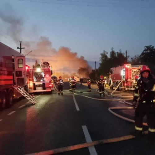 Lupta supraviețuitorilor de la Crevedia pentru o viață normală