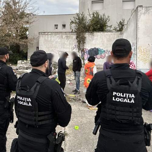 Activități desfășurate recent