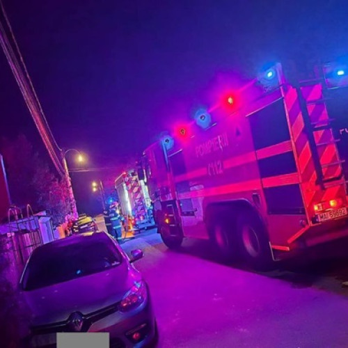 Incendiu devastator în Valu lui Traian: 22 de câini au murit