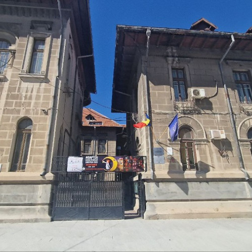 Târg de Gastronomie și Expoziție Școlară la Colegiul Național &quot;Mircea cel Bătrân&quot;