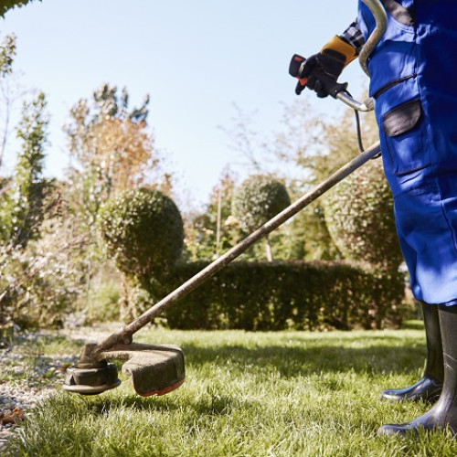 Contestatie inaintata de Garden Shop Services SA privind licitatia pentru intretinerea spatiilor verzi