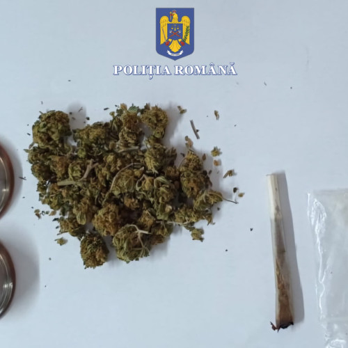 Descoperiri importante în urma unei razii a poliției din Constanța