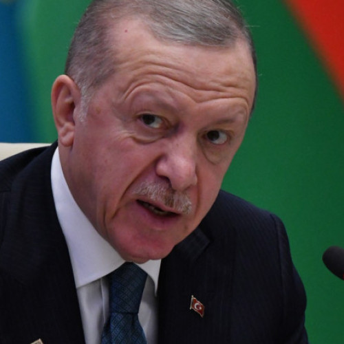 Erdogan îngrijorat de escaladarea conflictului Rusia-Ucraina