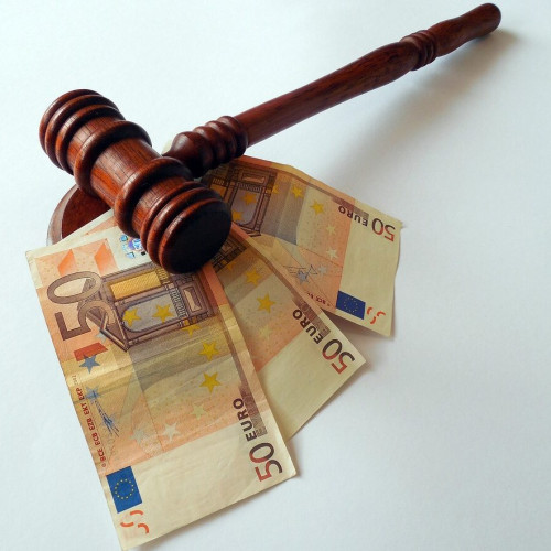 Acuzații de fraudă și fals pentru administratorul unei firme și consilierii A.P.I.A.