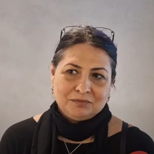 Delia Cornea are o experiență profesională vastă