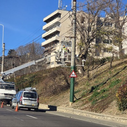 Lucrări de toaletare a copacilor pe strada Termele Romane din Zona Peninsulara