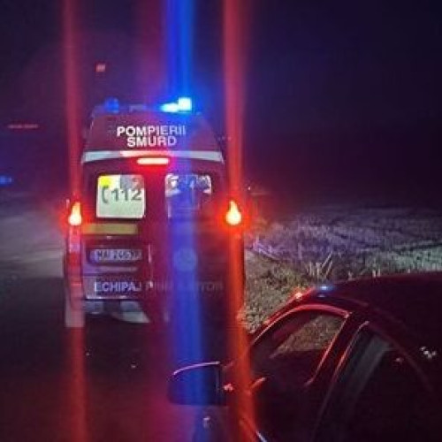 Pompierii și poliția intervin la un accident în zona Midia