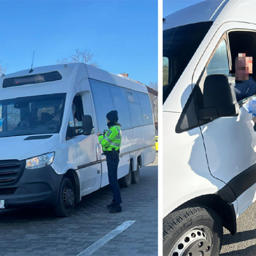 Acțiune pe drumurile din Horia și Mangalia
