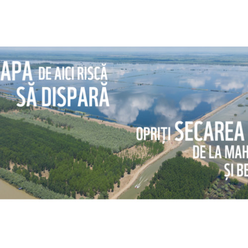 WWF România cere oprirea secării deltei refăcute de la Mahmudia