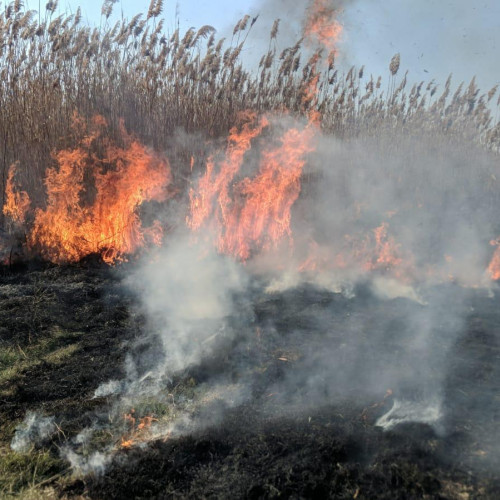 Incendiu de vegetație în județul Tulcea