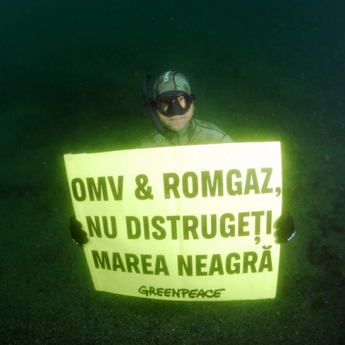 Greenpeace a inițiat o acțiune în justiție împotriva PUZ-ului pentru proiectul Neptun Deep în Marea Neagră