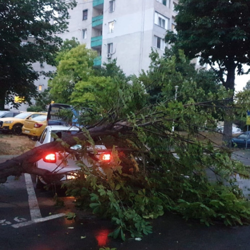 Bucureștiul, afectat de furtuni puternice - copaci rupți și daune însemnate