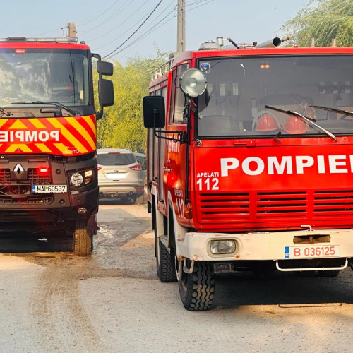 Zi de foc pentru pompieri: Incendiu la o anexă gospodărească din Constanța, pe Aleea Topolog