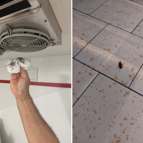 FOTO ANPC a închis mai multe supermarketuri din stațiunile de pe litoral: Amenzi de peste 460.000 lei și zeci de nereguli grave depistate la Lidl, Kaufland, Profi și Carrefour