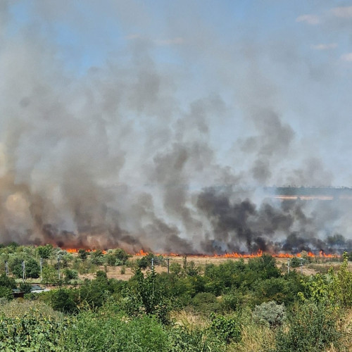 VIDEO Circulația feroviară suspendată, după incendiul violent, izbucnit lângă Medgidia