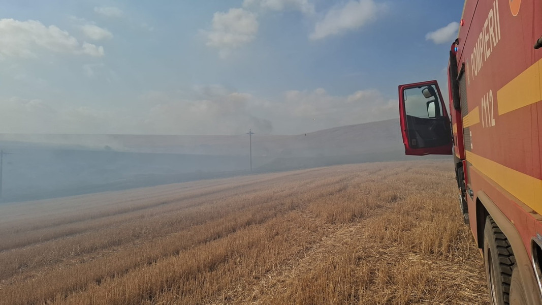 Intervenții de amploare în Delta Dunării pentru incendii