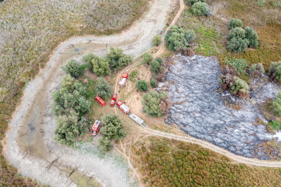 Pompierii tulceni intervin din nou în Delta Dunării pentru incendiu la vegetație