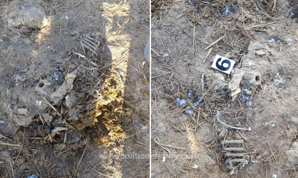 Dosarul Cazacioc, termen amânat la Curtea de Apel Constanța pentru octombrie 2025