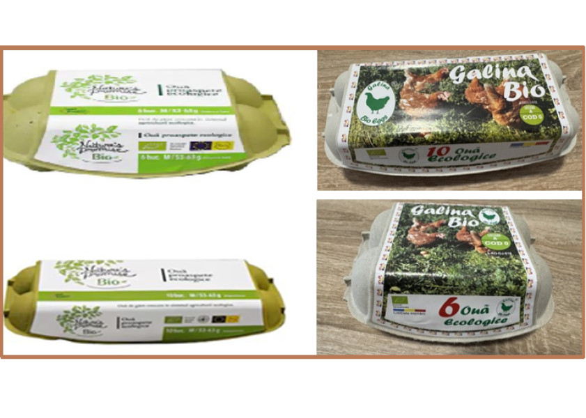 Ouă contaminate cu Salmonella, retrase de la vânzare de două mari supermarketuri