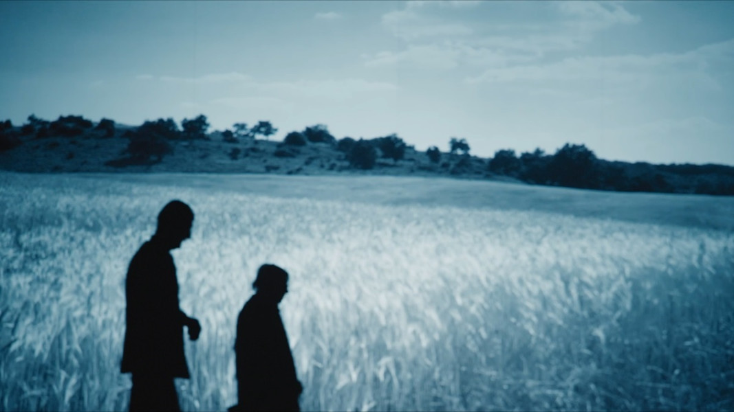 Filmul Pădurea de molizi readuce în atenție masacrul de la Fântâna Albă din 1941
