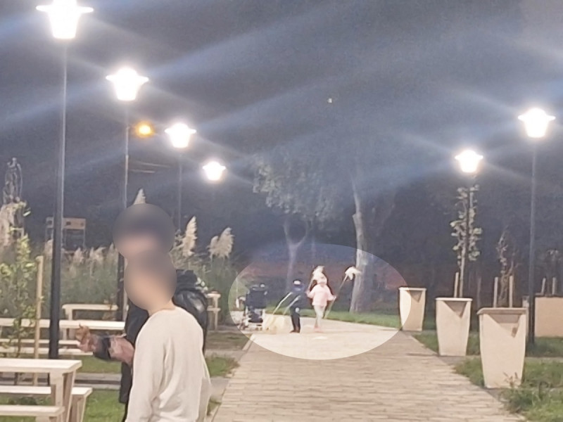 Poliția locală constănțeană monitorizează imagini pentru identificarea vandalilor