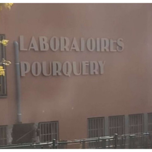 Jaful cu explozibili asupra unei rafinării de aur din Lyon a fost dejucat rapid