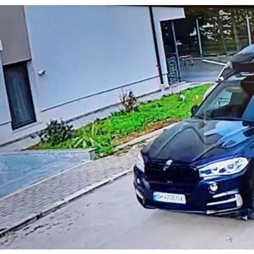 Șofer ucrainian, conducând un BMW, a accidentat un câine. Autoritățile au deschis o anchetă.