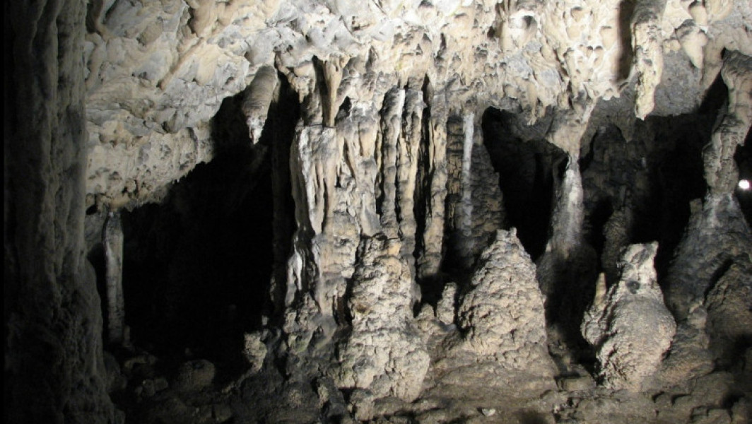 Image Description