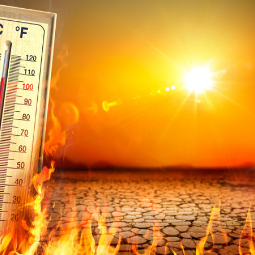 Heat-flation și sog-flation: Cum ne afectează fenomenele meteo extreme buzunarul. Avertismentul experților