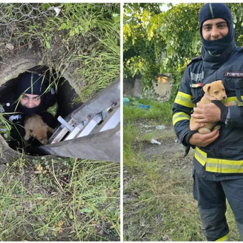 Cățel Salvat de Pompierul Alexandru Stoenciu - O Nouă Reușită pentru ISU Constanța