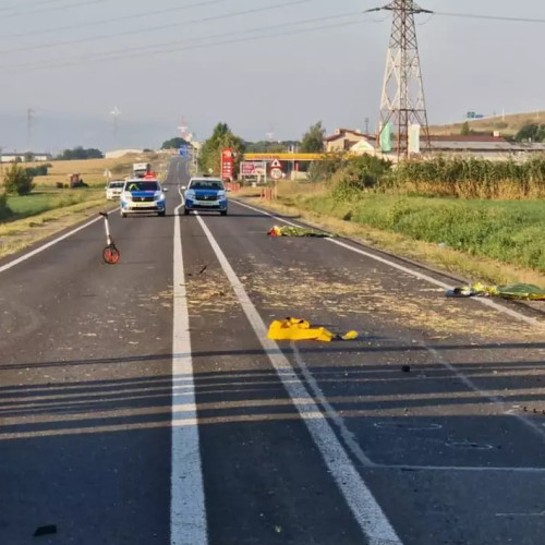 Prima sentință bazată pe Legea Anastasia: cinci ani de închisoare pentru un șofer beat care a omorât trei tineri