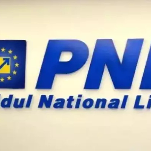 PNL a câștigat cele mai multe voturi în Constanța