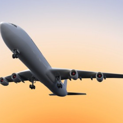 Tânăr american prins în încercarea de a fenta plata pentru bagaje pe aeroportul din Orlando