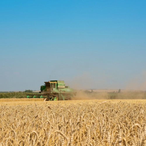 Miniștrii Agriculturii din Uniunea Europeană nu au ajuns la un acord
