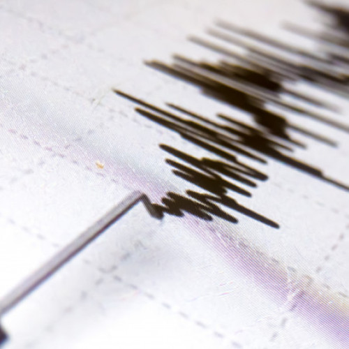 Cutremur în zona seismică Vrancea, joi dimineața