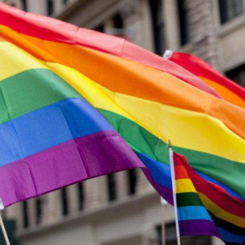 Parlamentul georgian adoptă în prima lectură un proiect de lege împotriva &quot;propagandei LGBT&quot;