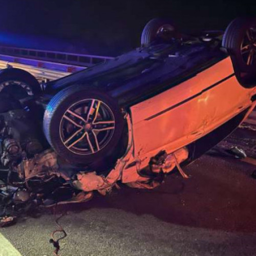 Accident rutier pe A3 provocat de o bovină